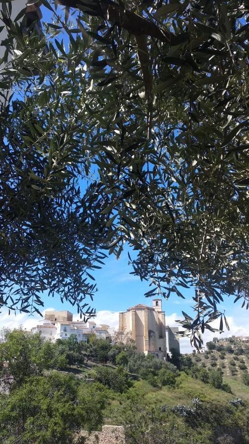 Apartamento El Carmen Setenil De Las Bodegas Екстериор снимка